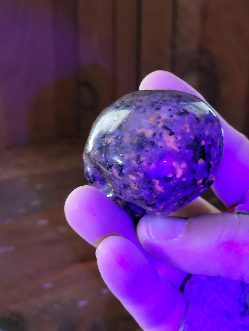 Yooperlite Skull - Picture 13 of 17
